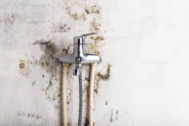 Best Mold Testing  in Frankfort, KY