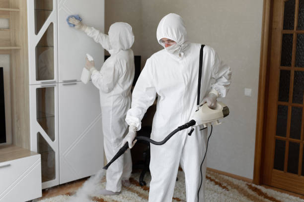 Crawl Space Mold Removal in Frankfort, KY
