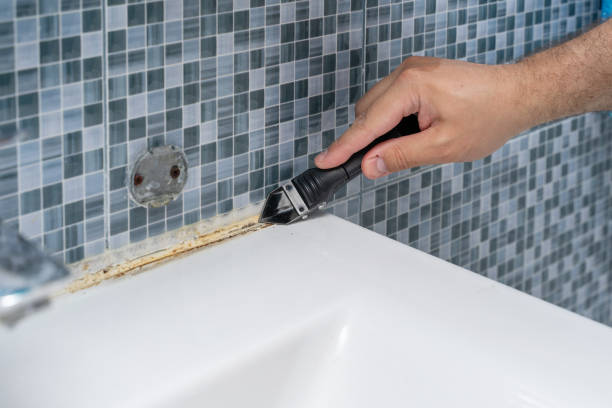 Best Emergency Mold Removal  in Frankfort, KY